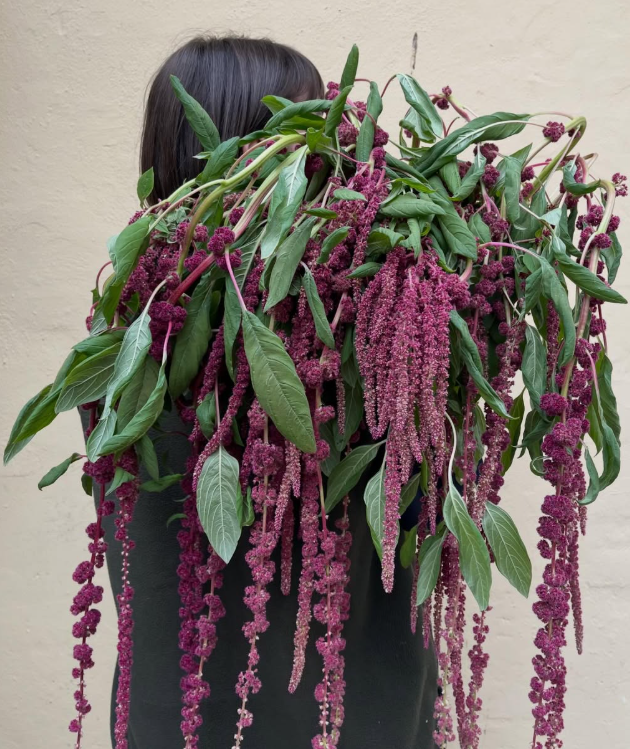 Signatur Blomster Buket