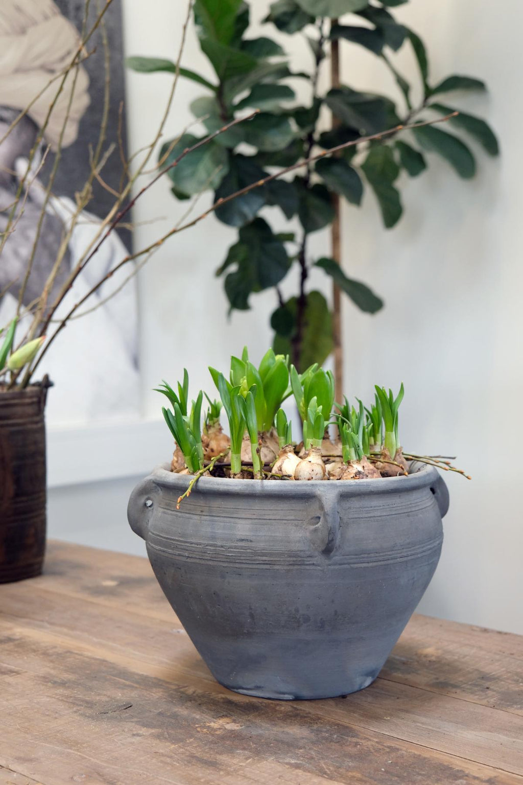 Chambéry sort lerkrukke til planter og dekoration fra Trademark Living hos Ebelhus - billede 2