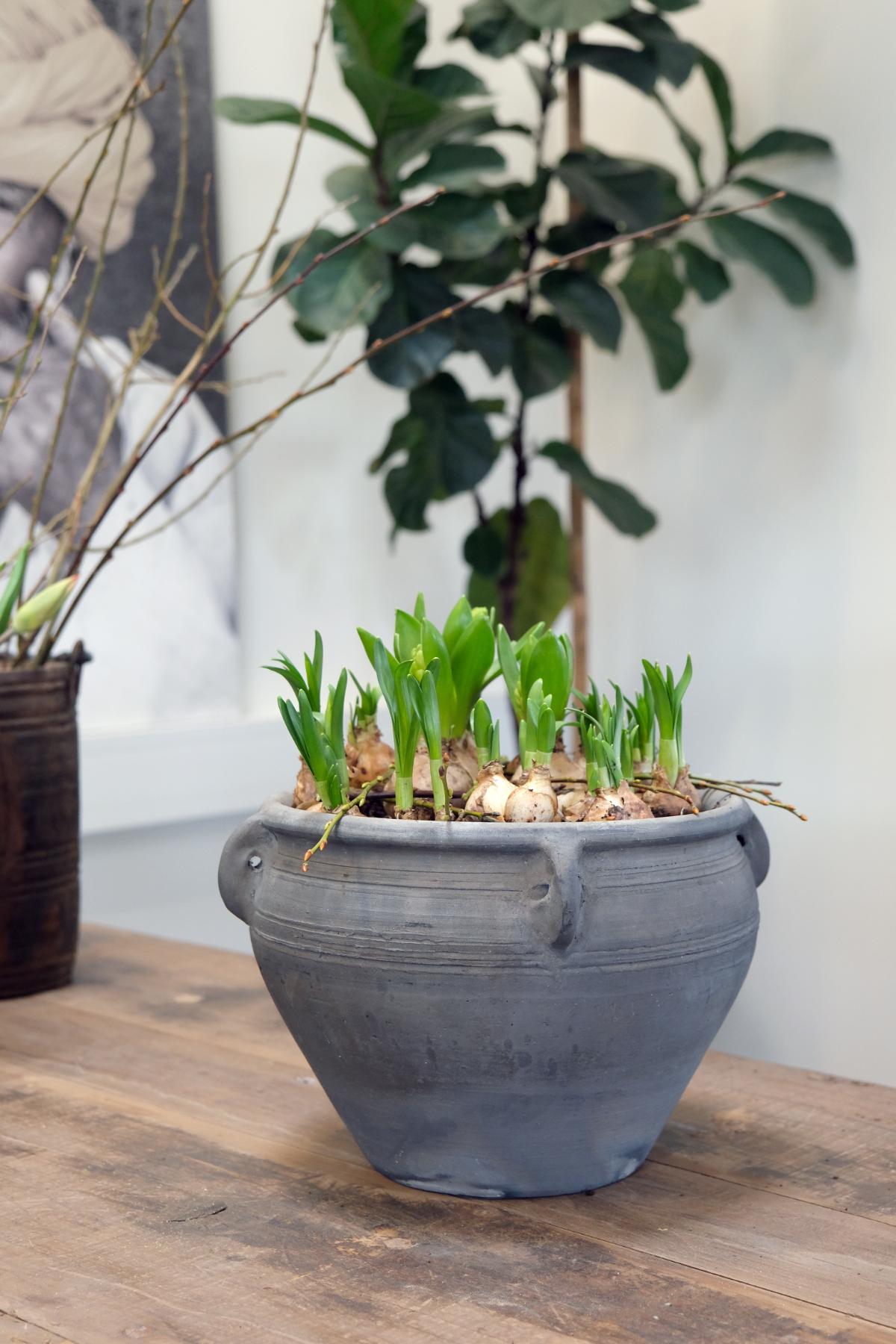 Chambéry sort lerkrukke til planter og dekoration fra Trademark Living hos Ebelhus - billede 2