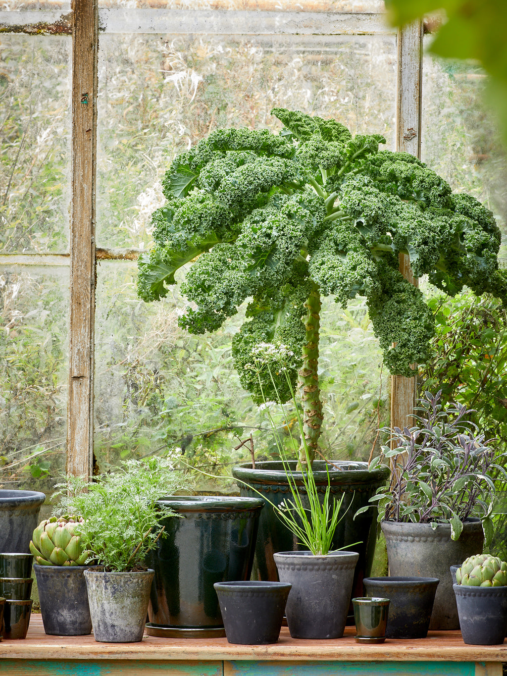 Lacepot krukker i dark green – sæt med 3 – billede 4