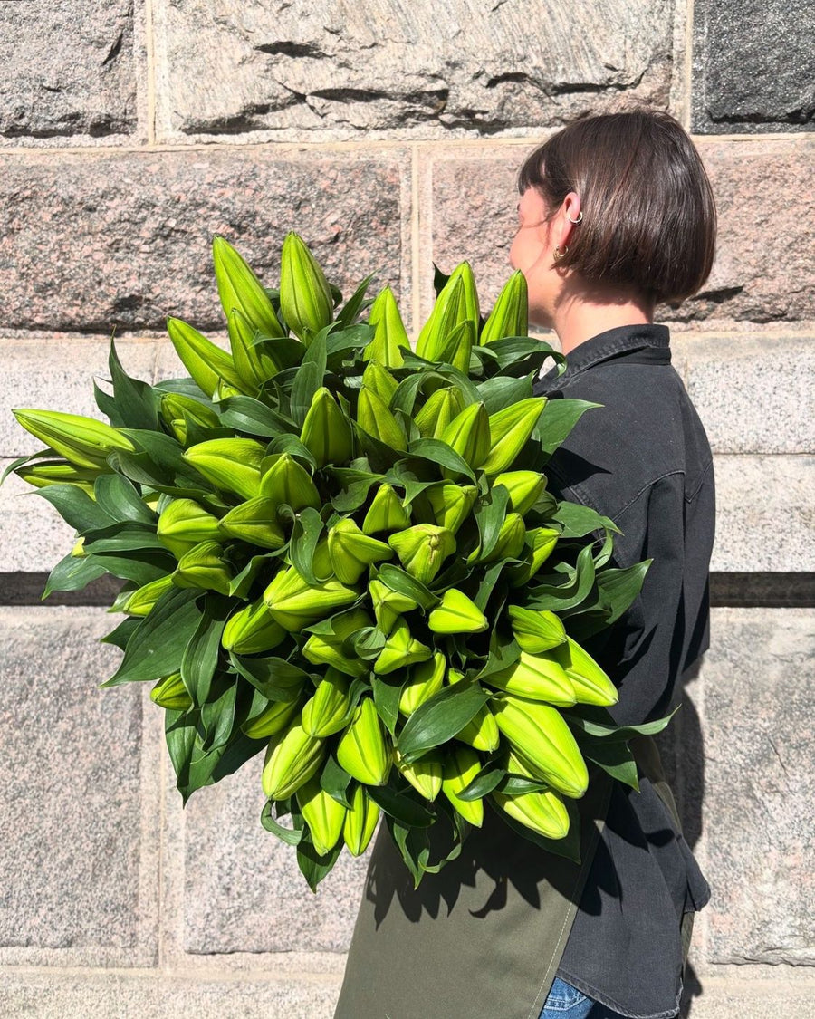 Blomster til virksomheder – Plenty Flowers Ebeltoft