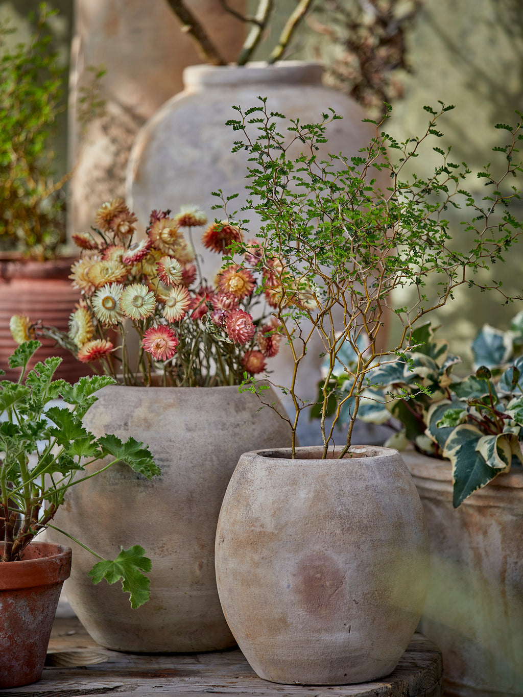 Vivi krukke i antique terracotta – Ø14 – billede 2