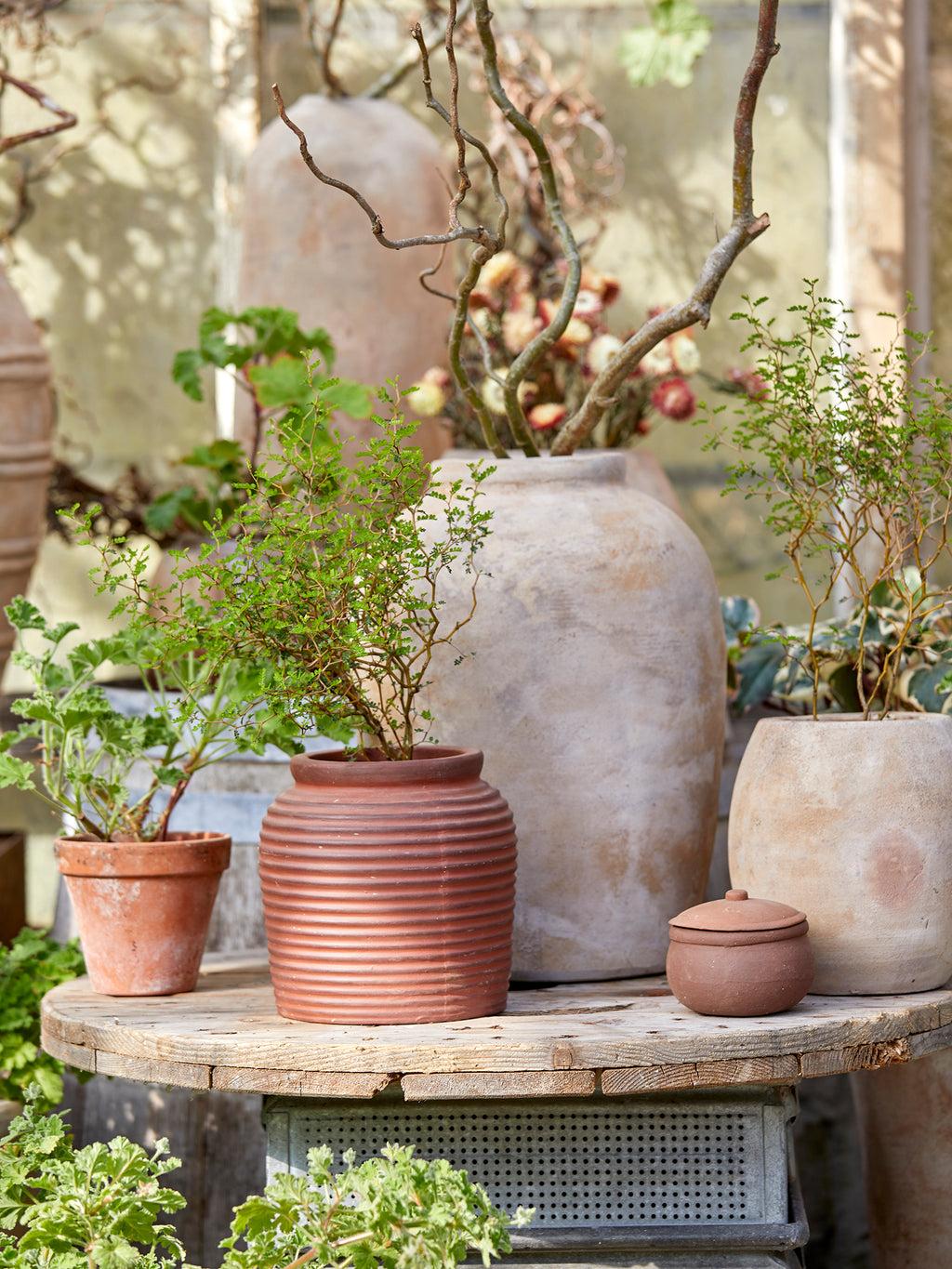 Vivi krukke i antique terracotta – Ø14 – billede 3
